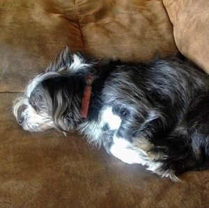 Meet your Posher, David